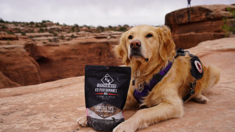 E3 K9 Performance - Roasted Tips