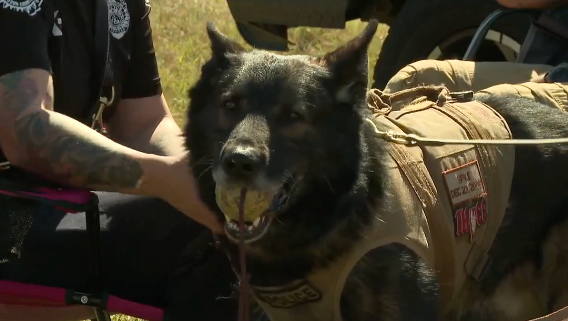 Spike's K9 Fund holds tracking class for police and search and rescue dogs in Nashville