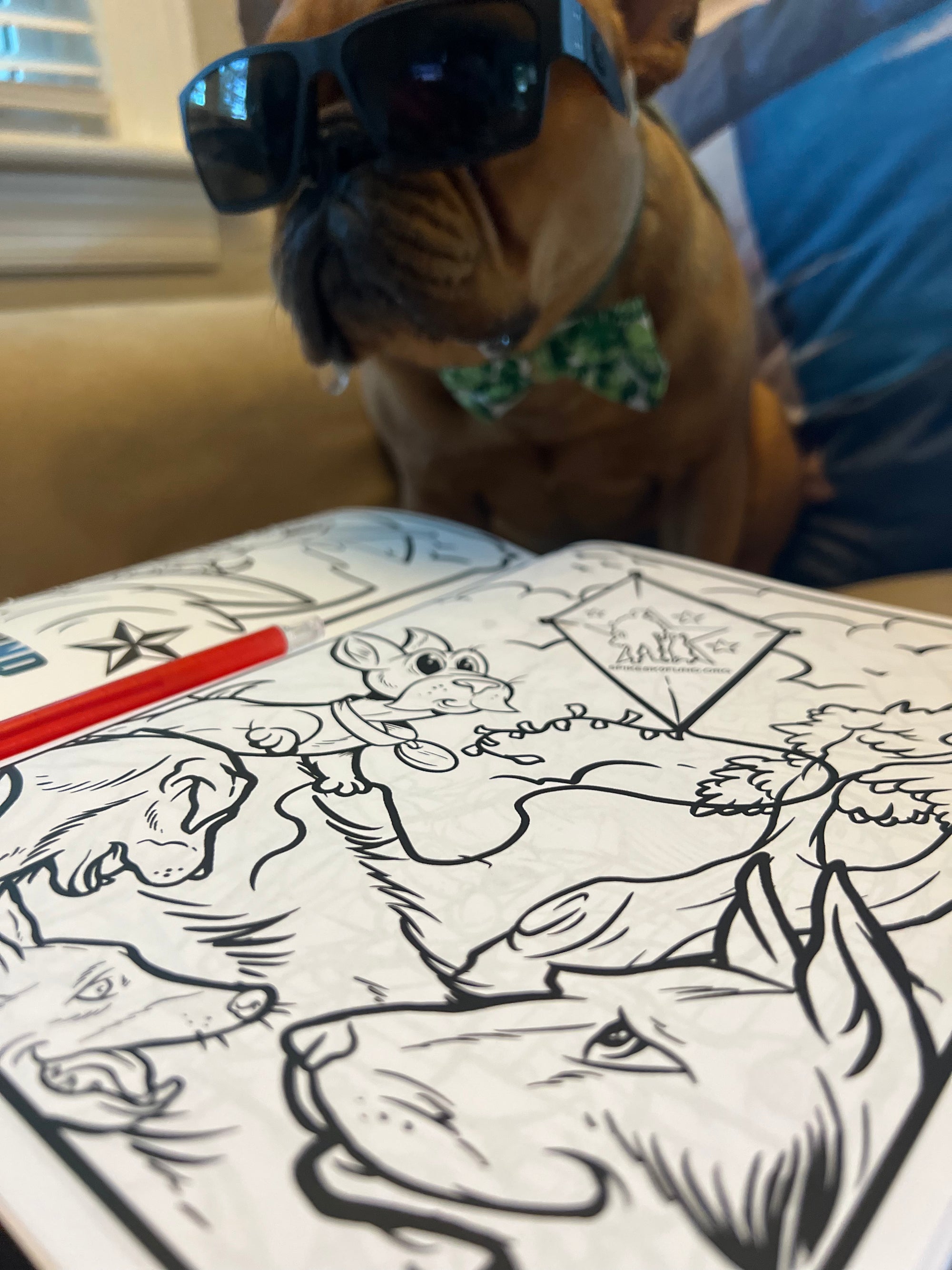 Summer Vacation - Dewey Edition!