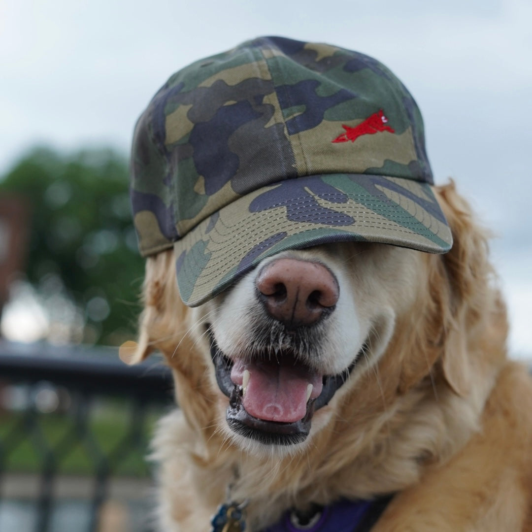 Hairmissile Dad Hat - Woodland