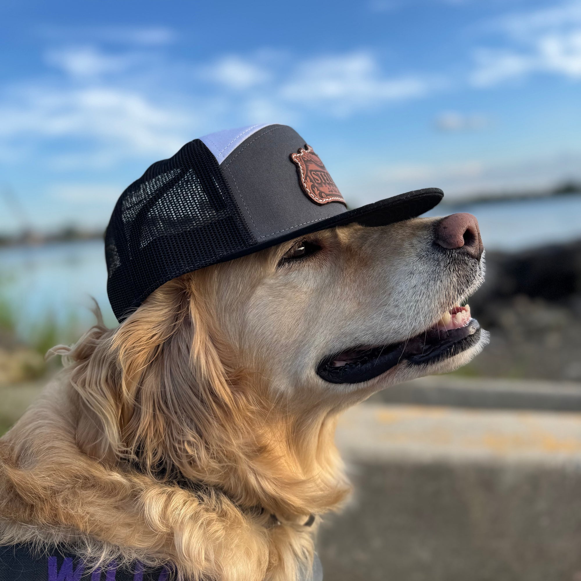 OG Logo 7 Panel Trucker Hat w/ Leather Patch