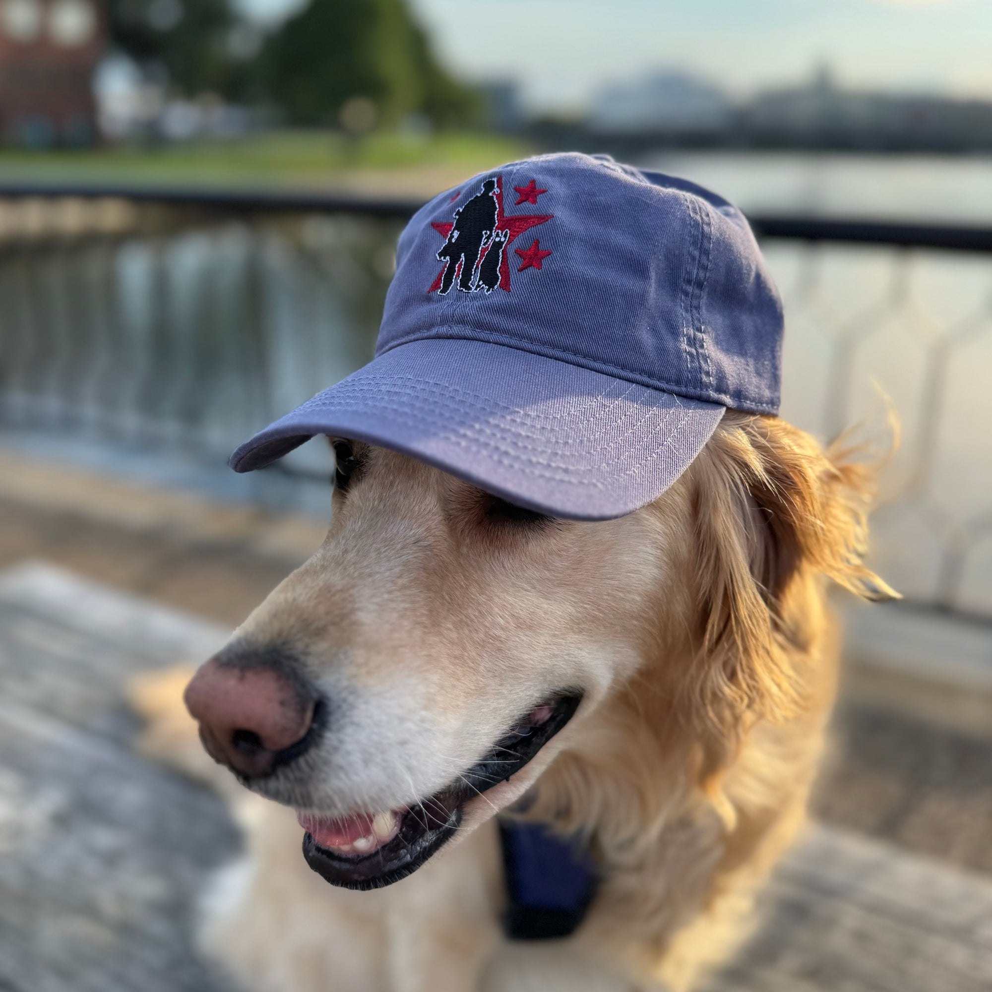OG Logo Dad Hat - Slate Blue