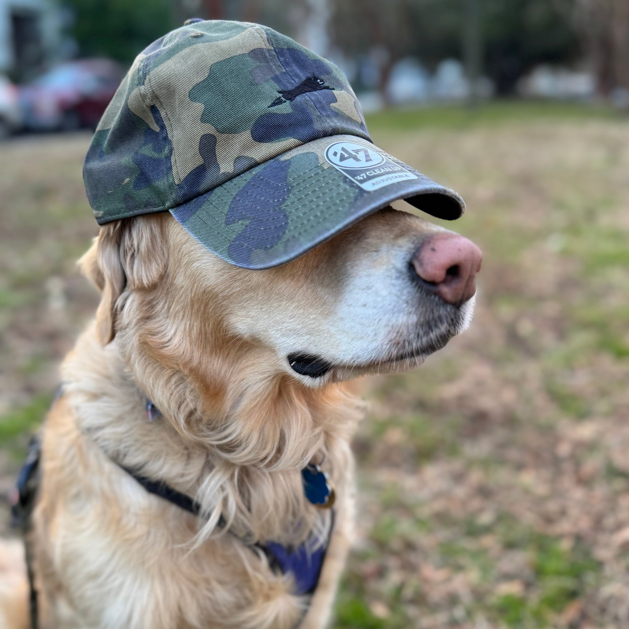 Hairmissile Dad Hat - Woodland