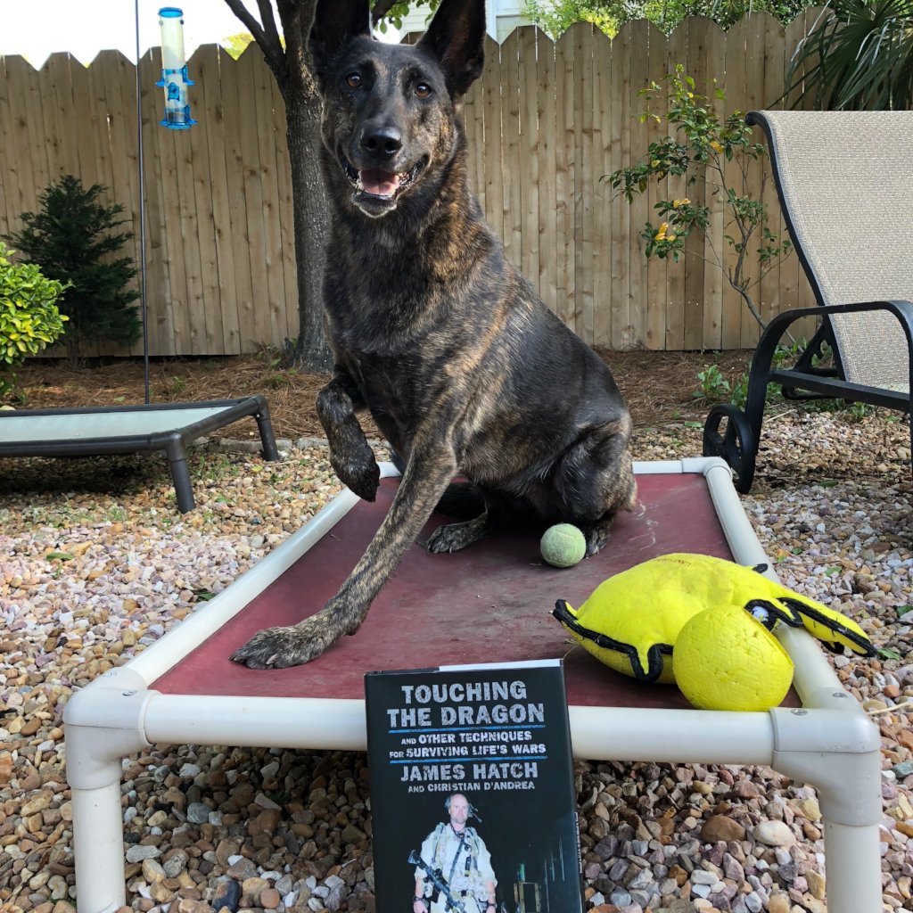 Touching the Dragon: And Other Techniques for Surviving Life's Wars. - Hardcover