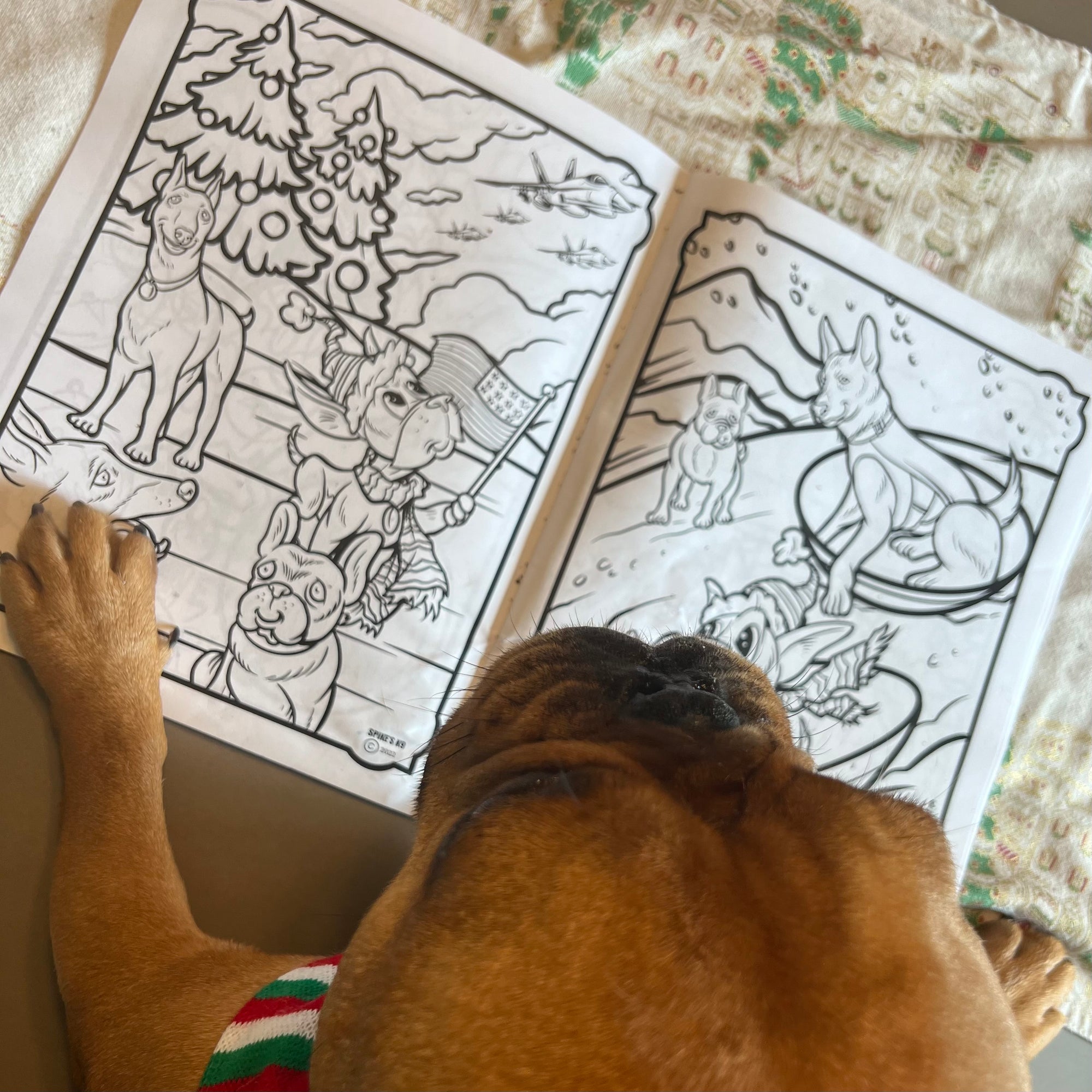 A Very Dewey Christmas Coloring Book 3