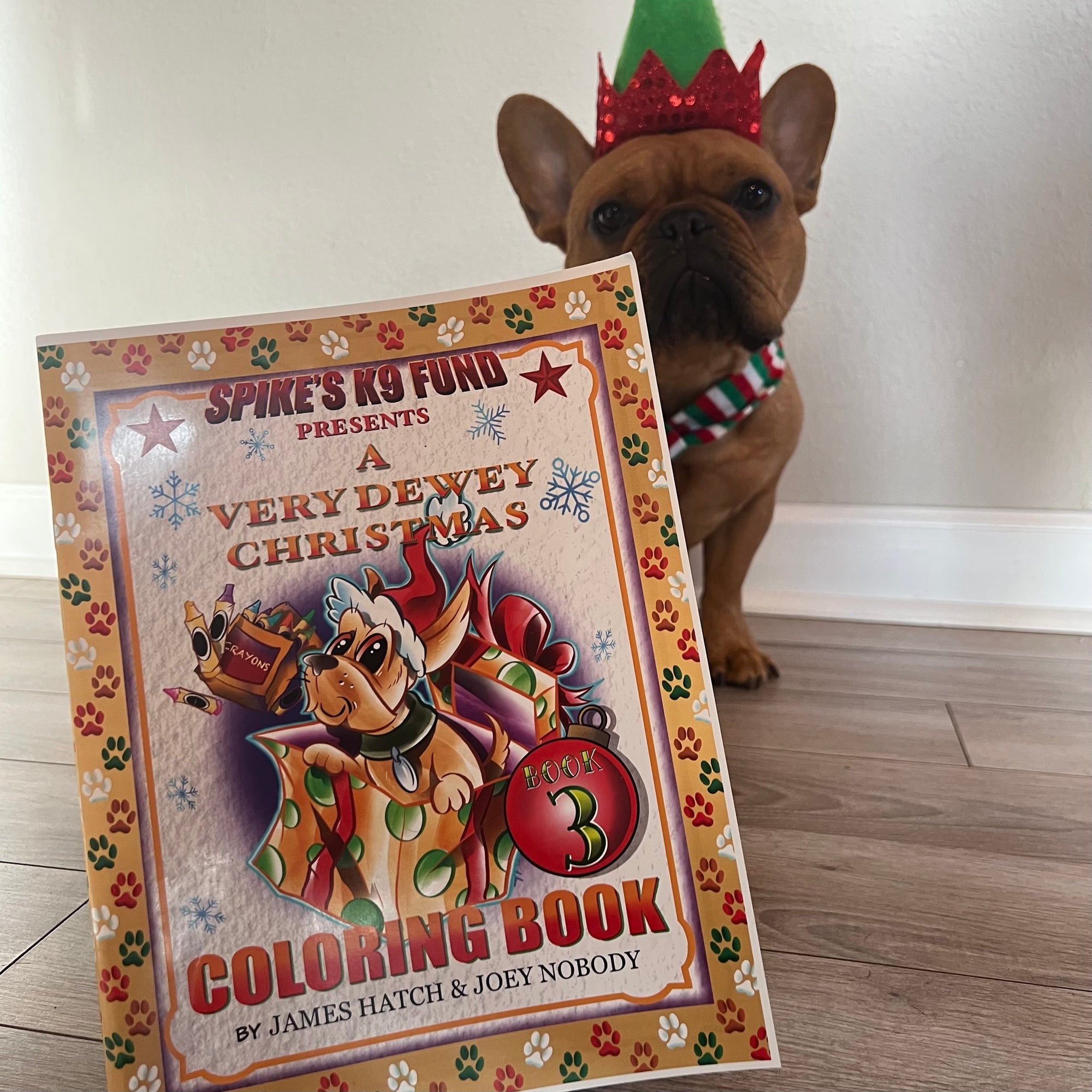 A Very Dewey Christmas Coloring Book 3