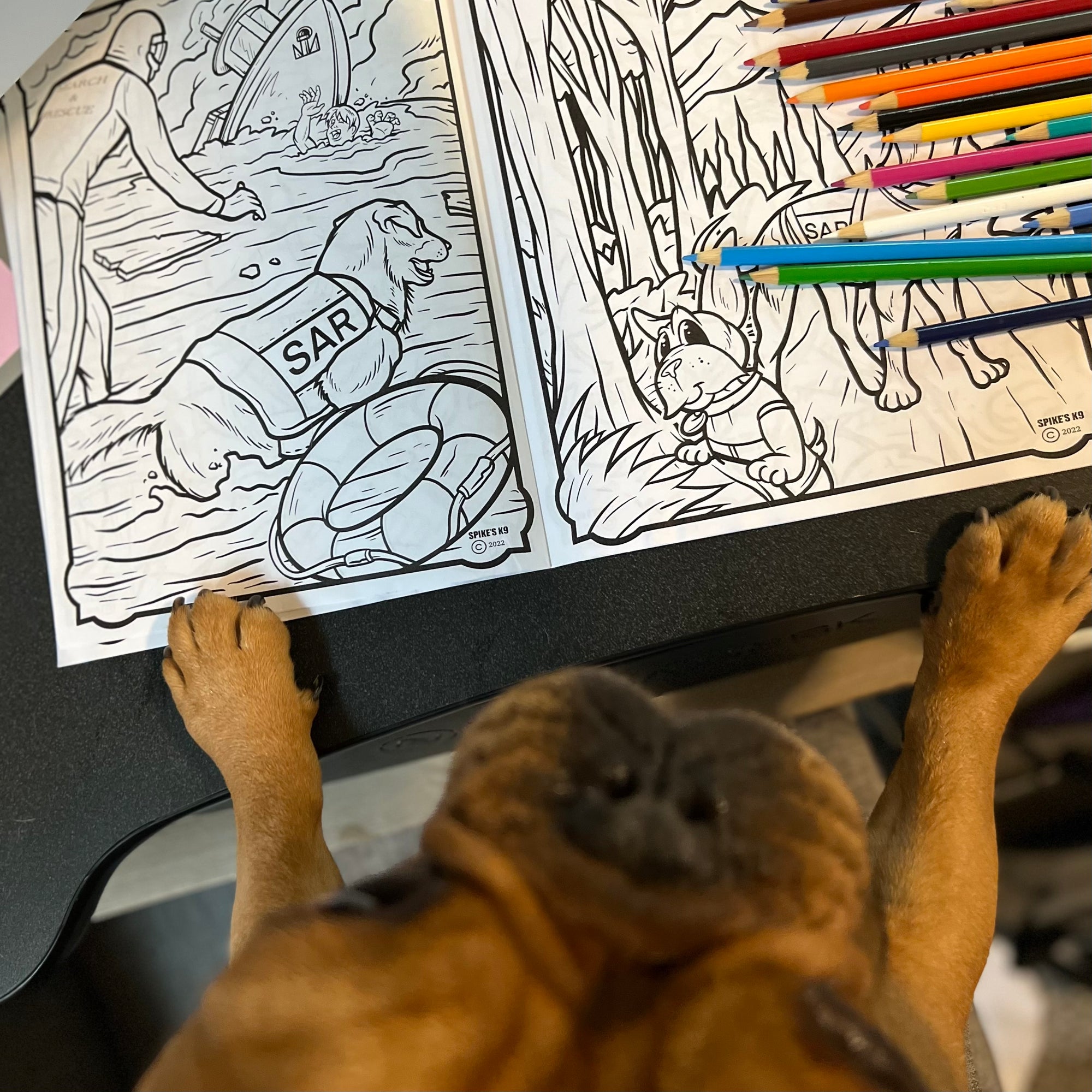 Dewey the Puppy Coloring Book - SAR Edition